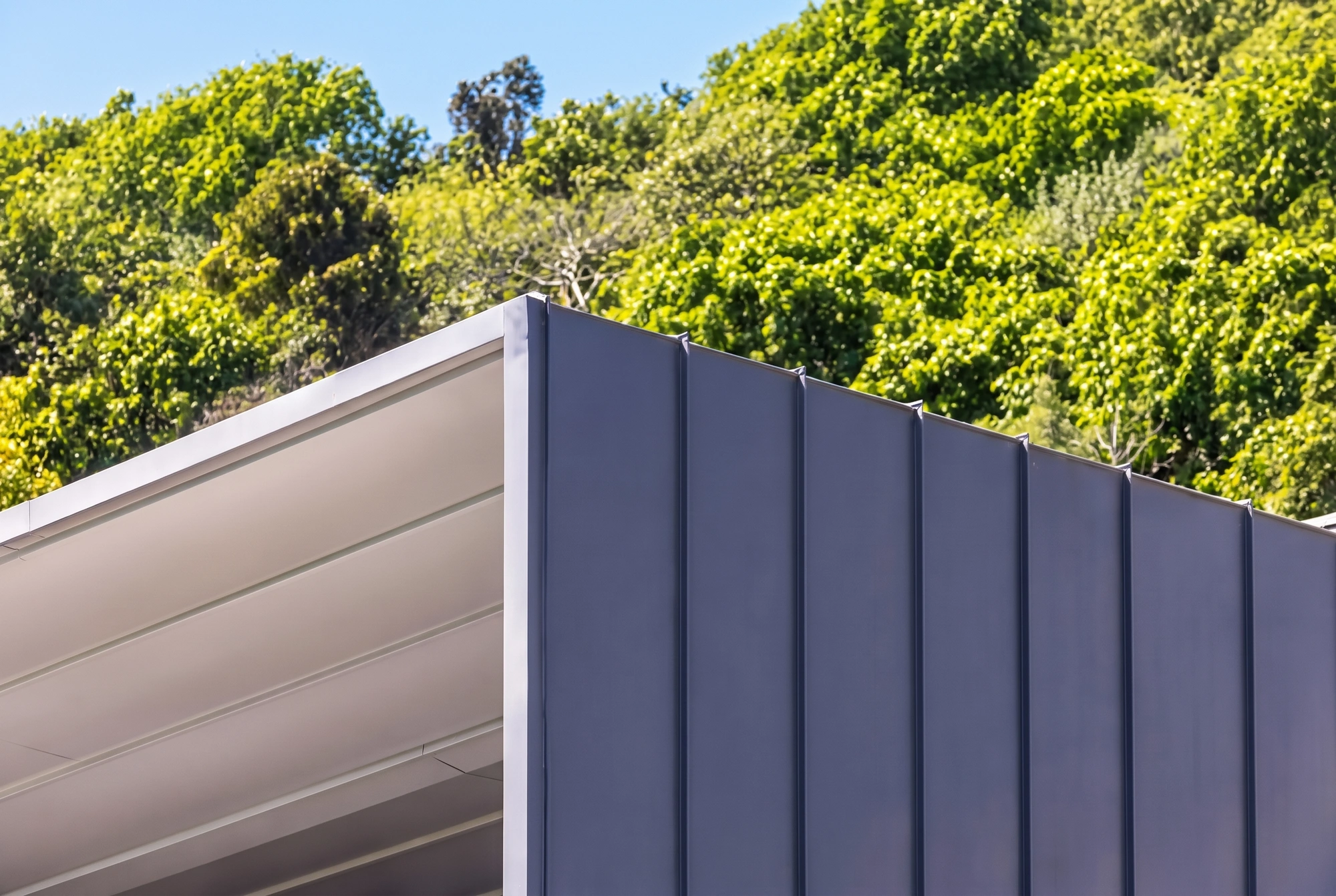 The zinc volume against the trees