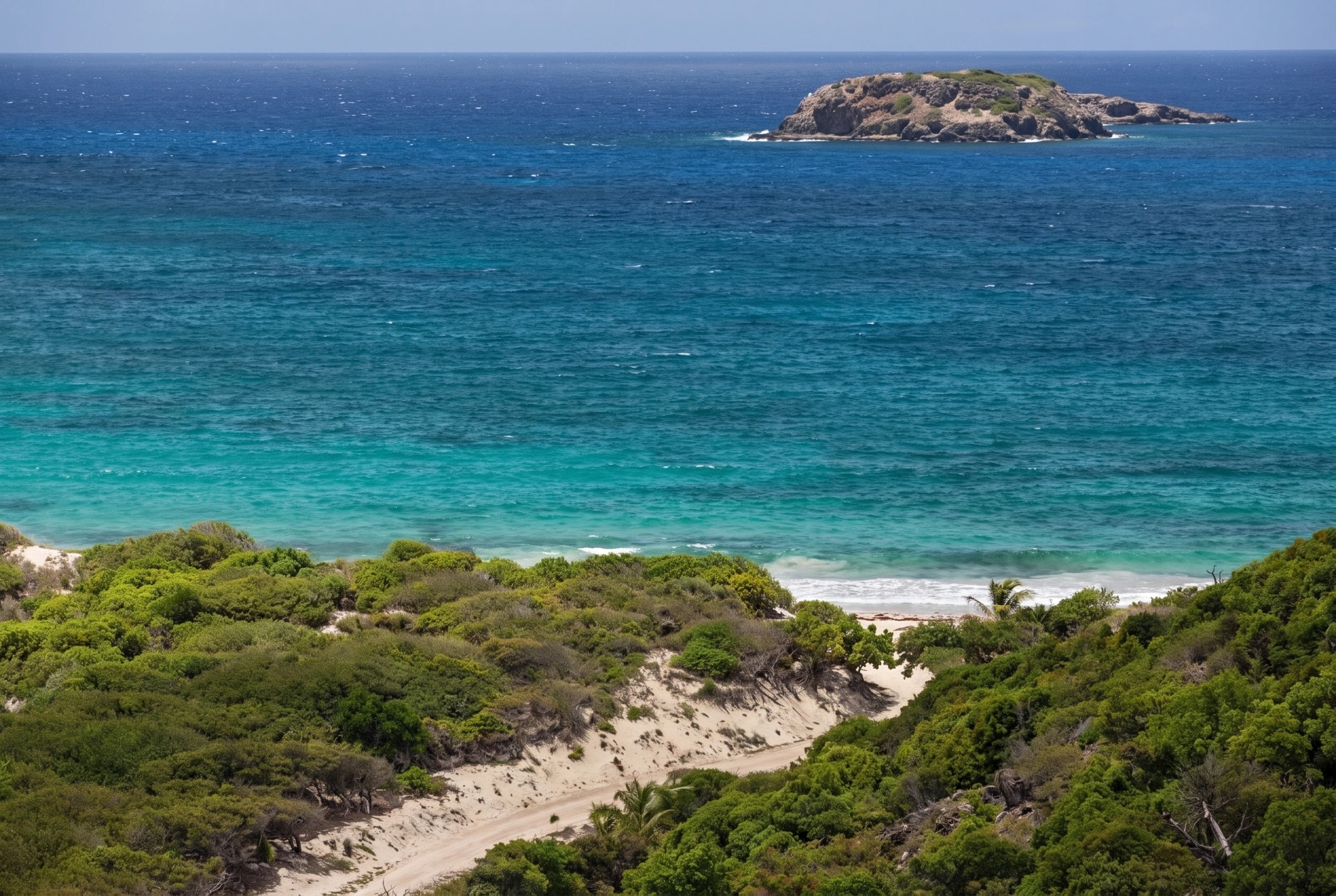 The beach beyond the dune