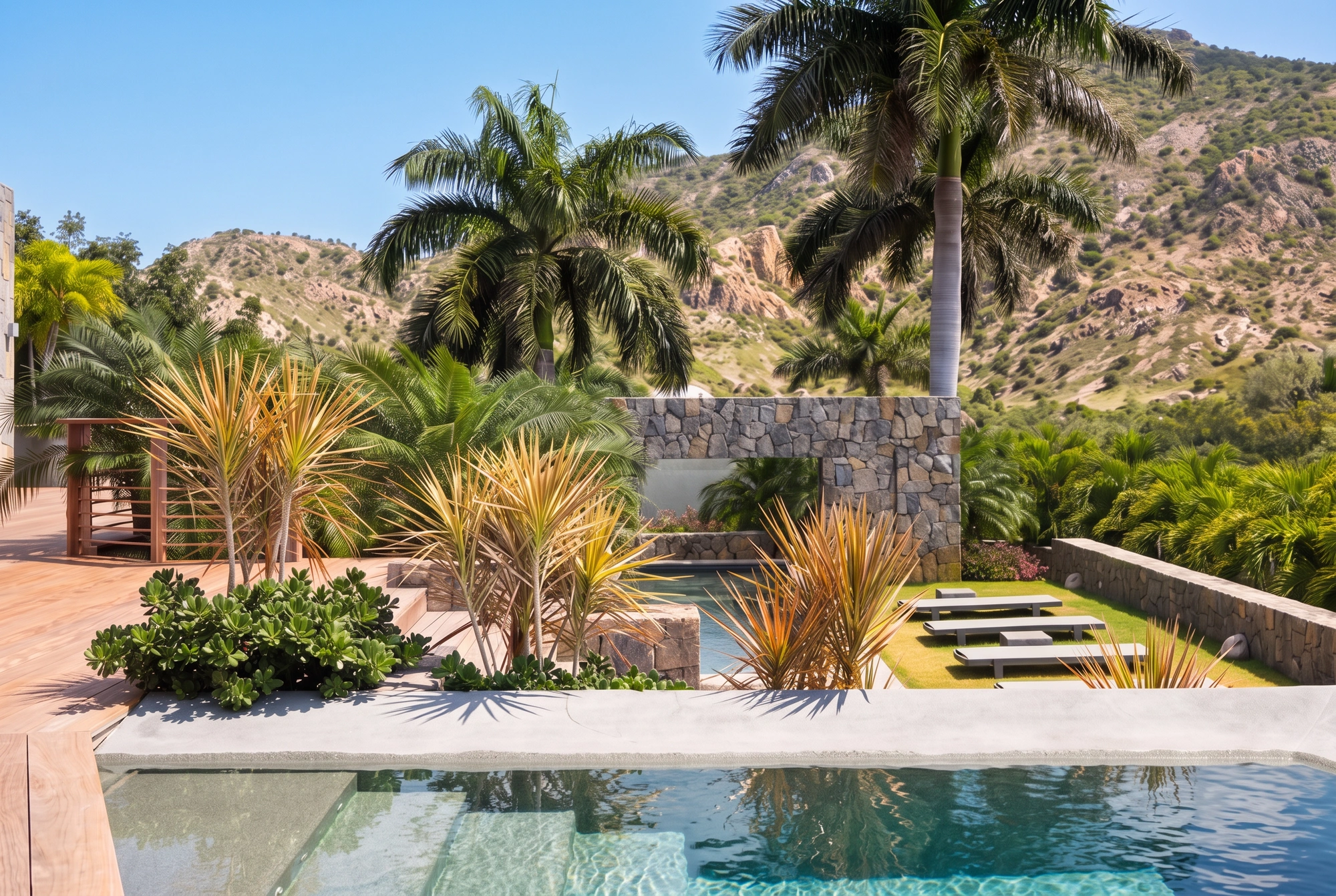 The pool, agaves and daybeds